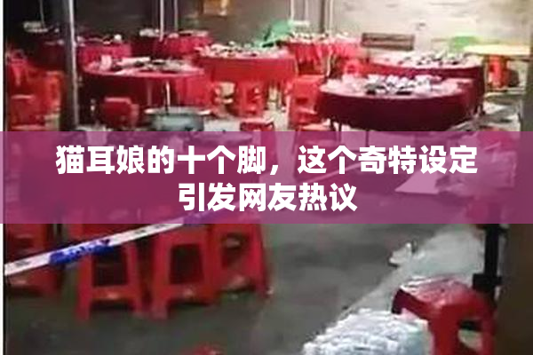 猫耳娘的十个脚，这个奇特设定引发网友热议