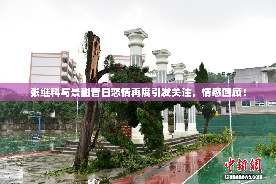 张继科与景甜昔日恋情再度引发关注，情感回顾！