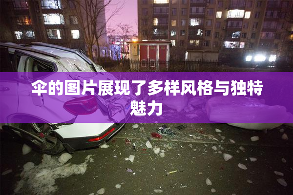 伞的图片展现了多样风格与独特魅力