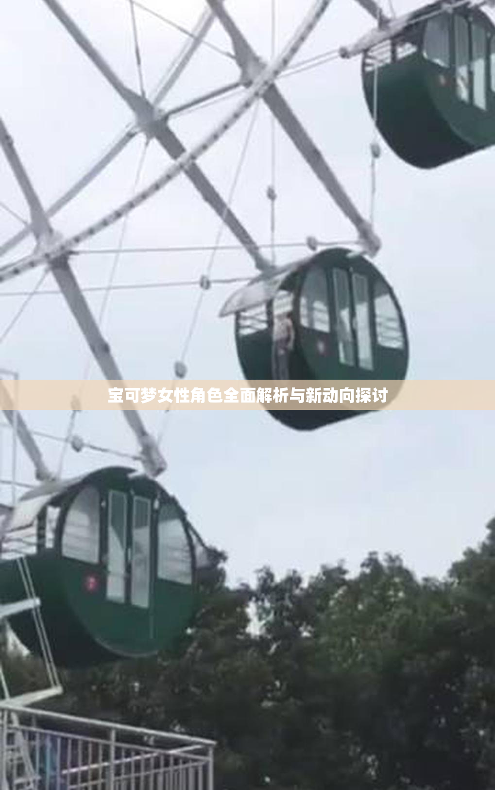宝可梦女性角色全面解析与新动向探讨