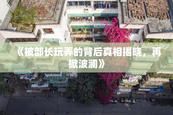 《被部长玩弄的背后真相揭晓，再掀波澜》
