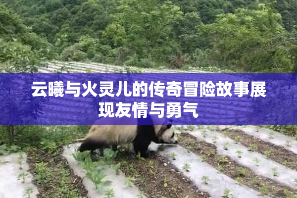 云曦与火灵儿的传奇冒险故事展现友情与勇气