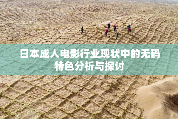 日本成人电影行业现状中的无码特色分析与探讨