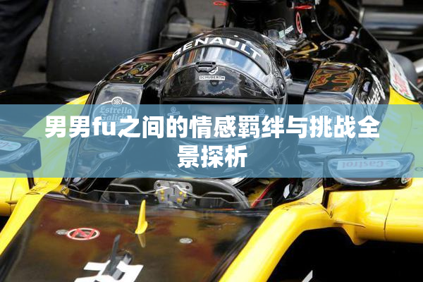 男男fu之间的情感羁绊与挑战全景探析
