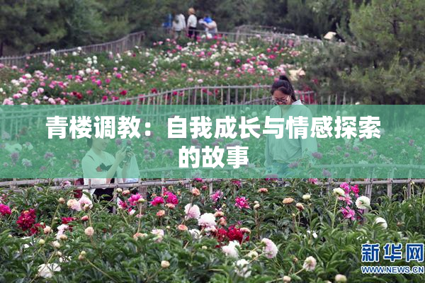 青楼调教：自我成长与情感探索的故事