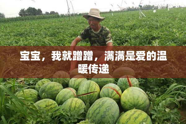 宝宝，我就蹭蹭，满满是爱的温暖传递