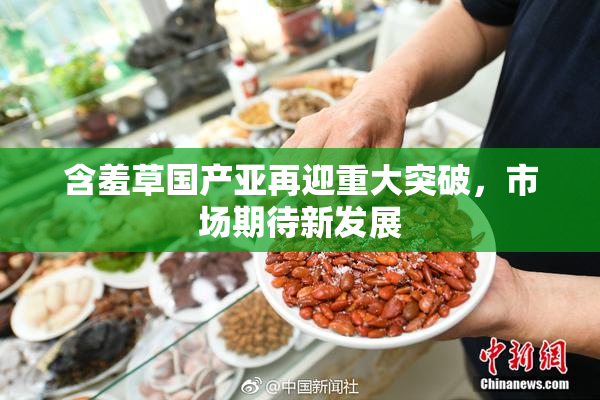 含羞草国产亚再迎重大突破，市场期待新发展