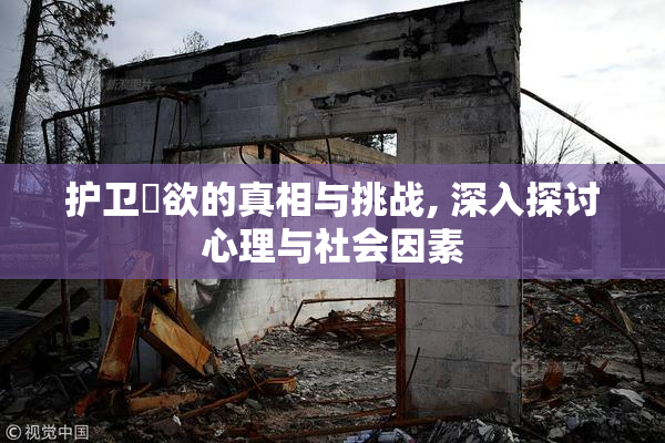 护卫婬欲的真相与挑战, 深入探讨心理与社会因素
