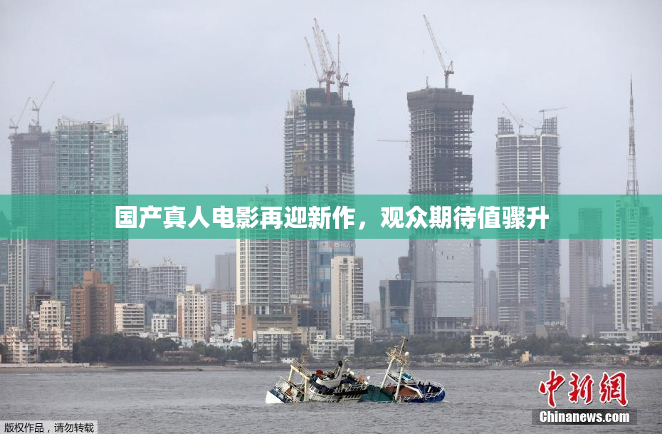 国产真人电影再迎新作，观众期待值骤升