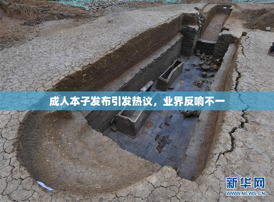 成人本子发布引发热议，业界反响不一