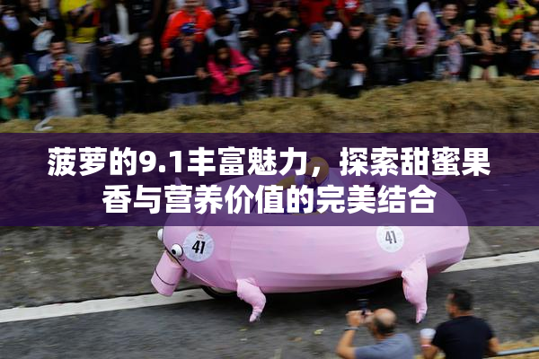 菠萝的9.1丰富魅力，探索甜蜜果香与营养价值的完美结合