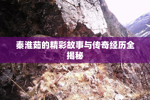 秦淮茹的精彩故事与传奇经历全揭秘