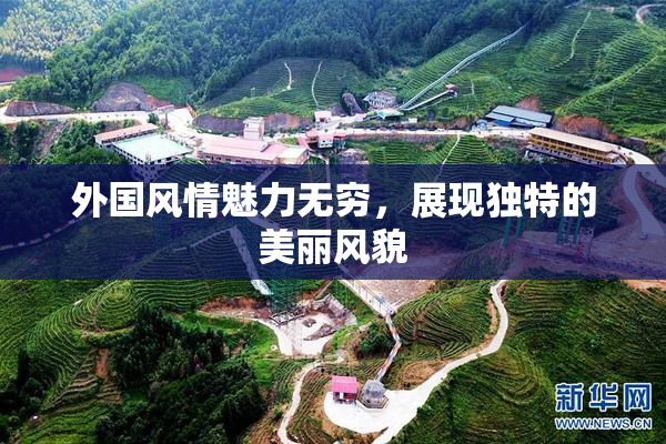 外国风情魅力无穷，展现独特的美丽风貌