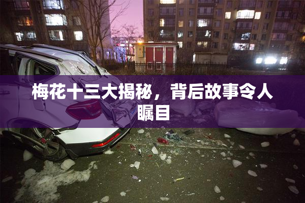梅花十三大揭秘，背后故事令人瞩目