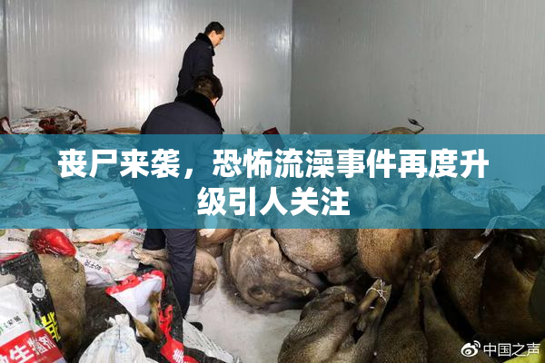 丧尸来袭，恐怖流澡事件再度升级引人关注