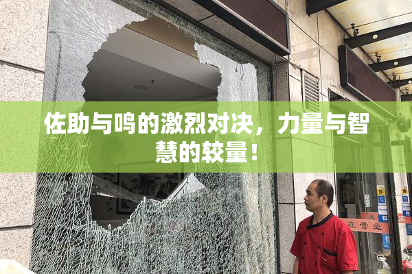 佐助与鸣的激烈对决，力量与智慧的较量！
