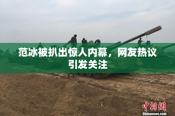 范冰被扒出惊人内幕，网友热议引发关注
