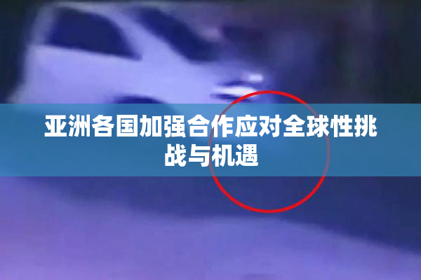 亚洲各国加强合作应对全球性挑战与机遇