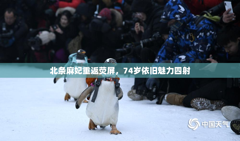 北条麻妃重返荧屏，74岁依旧魅力四射