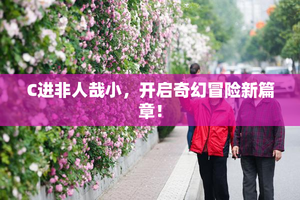 C进非人哉小，开启奇幻冒险新篇章！