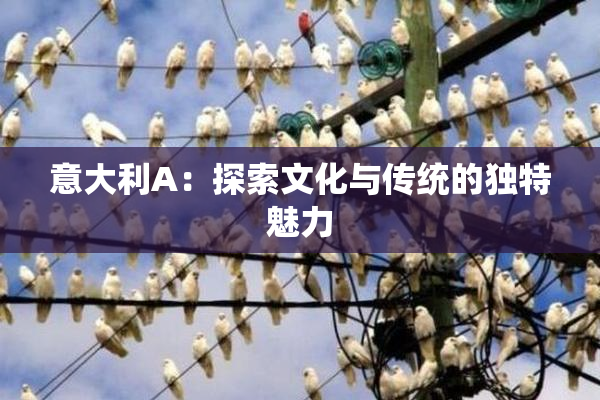 意大利A：探索文化与传统的独特魅力