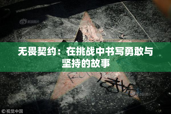 无畏契约：在挑战中书写勇敢与坚持的故事