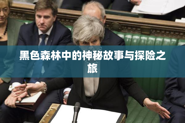 黑色森林中的神秘故事与探险之旅