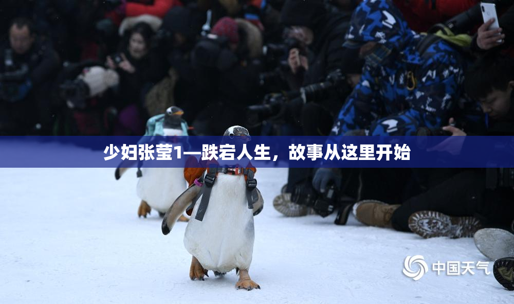 少妇张莹1—跌宕人生，故事从这里开始