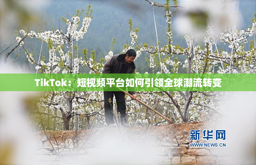TikTok：短视频平台如何引领全球潮流转变