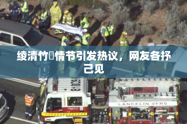 绫清竹婬情节引发热议，网友各抒己见