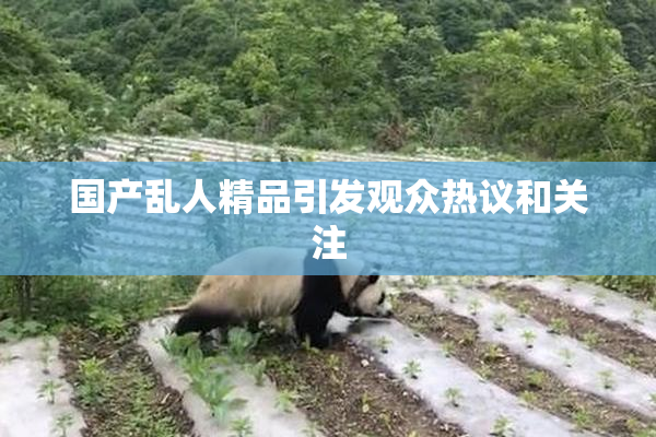 国产乱人精品引发观众热议和关注