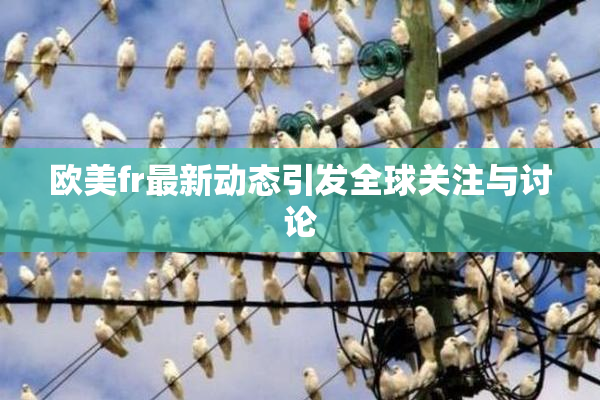 欧美fr最新动态引发全球关注与讨论