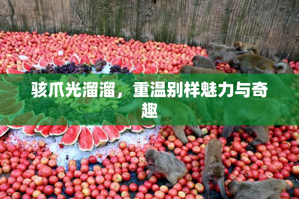骇爪光溜溜，重温别样魅力与奇趣