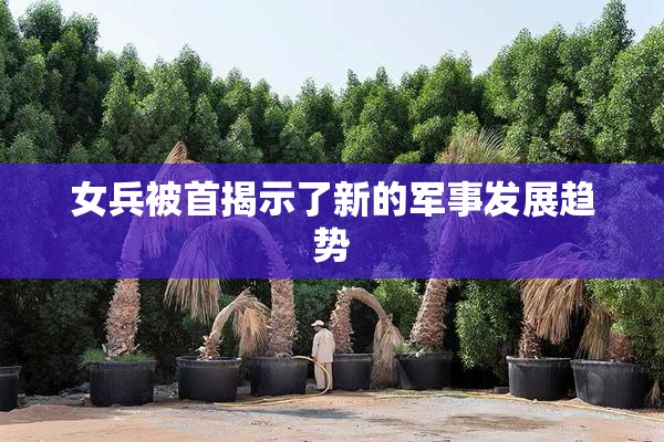 女兵被首揭示了新的军事发展趋势