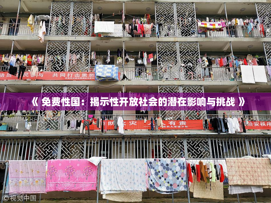 《 免费性国：揭示性开放社会的潜在影响与挑战 》