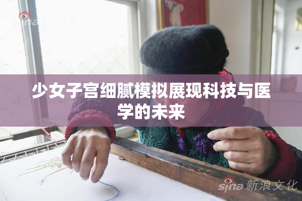 少女子宫细腻模拟展现科技与医学的未来