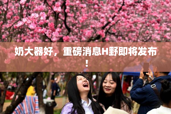 奶大器好，重磅消息H野即将发布！