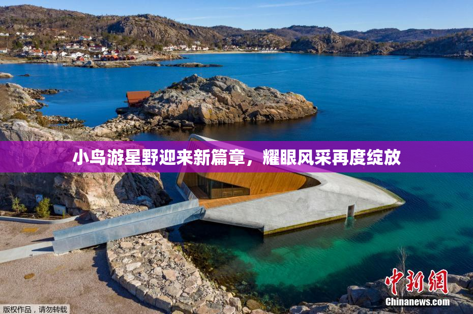小鸟游星野迎来新篇章，耀眼风采再度绽放