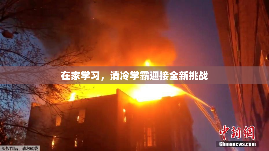 在家学习，清冷学霸迎接全新挑战