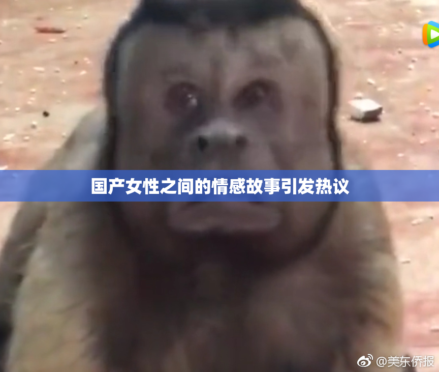 国产女性之间的情感故事引发热议
