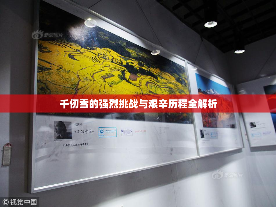 千仞雪的强烈挑战与艰辛历程全解析
