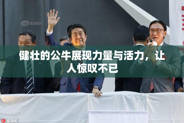 健壮的公牛展现力量与活力，让人惊叹不已