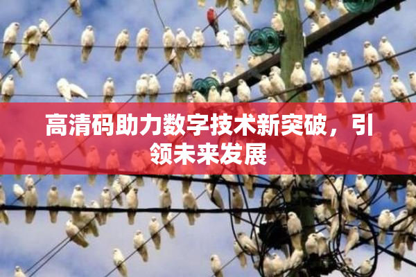 高清码助力数字技术新突破，引领未来发展