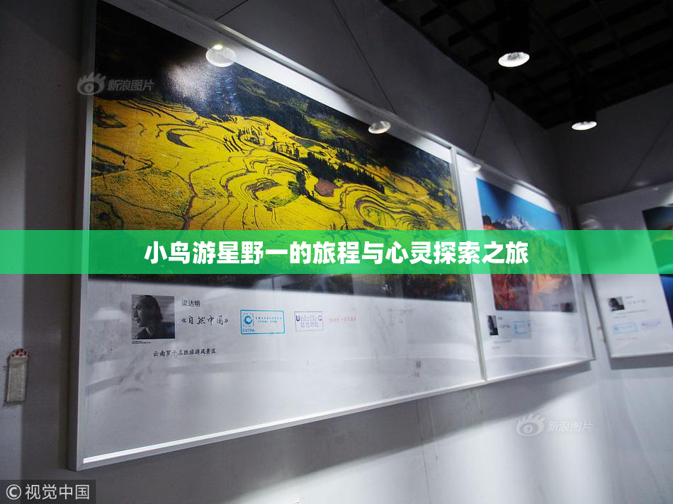 小鸟游星野一的旅程与心灵探索之旅