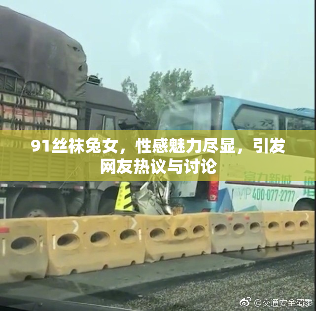 91丝袜兔女，性感魅力尽显，引发网友热议与讨论
