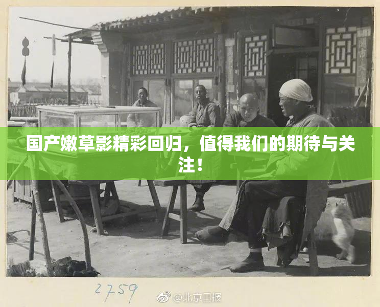 国产嫩草影精彩回归，值得我们的期待与关注！