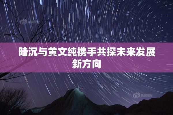 陆沉与黄文纯携手共探未来发展新方向