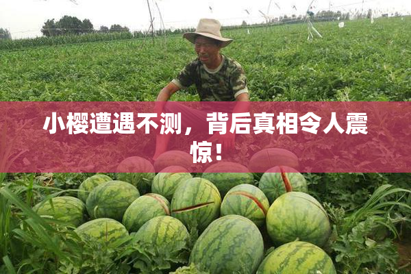 小樱遭遇不测，背后真相令人震惊！