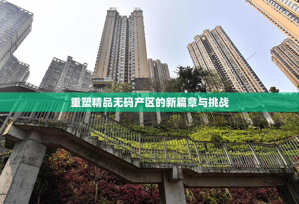 重塑精品无码产区的新篇章与挑战