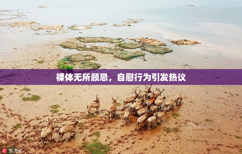 裸体无所顾忌，自慰行为引发热议